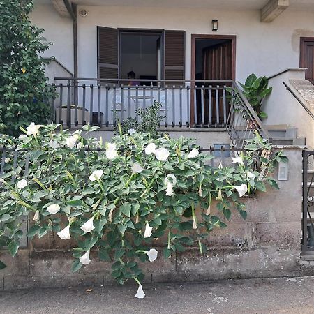 Apartamento A Casa Ida Bagnoregio Exterior foto